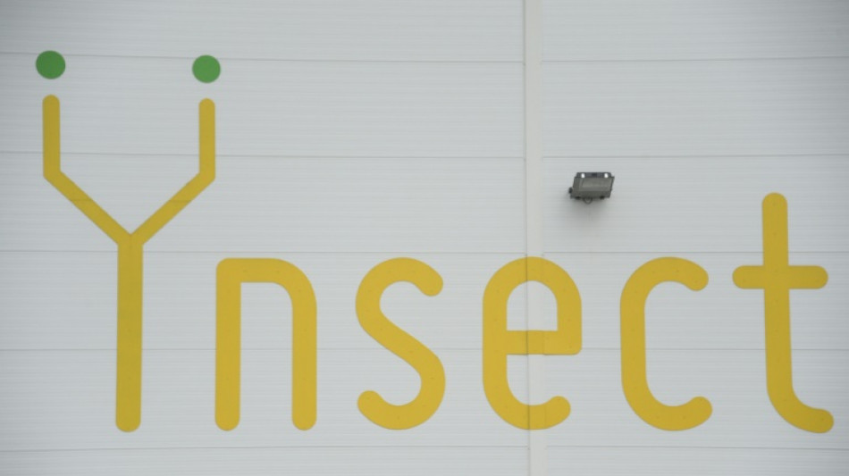 Prot&eacute;ines d'insectes: la start-up Ynsect n'a pas trouv&eacute; de repreneur ou nouvel investisseur