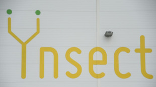Prot&eacute;ines d'insectes: la start-up Ynsect n'a pas trouv&eacute; de repreneur ou nouvel investisseur