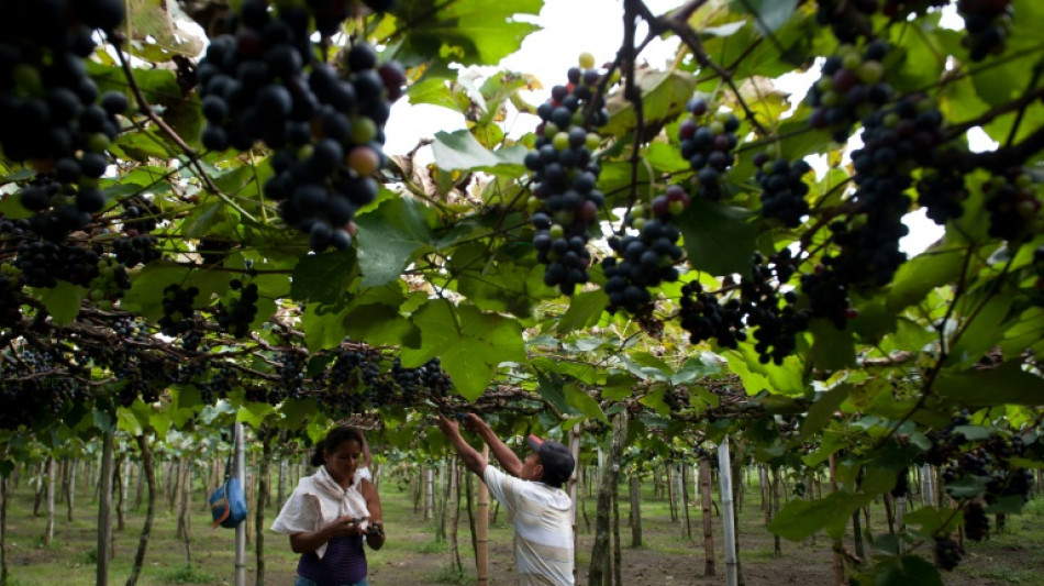 El valor de las exportaciones de Am&eacute;rica Latina caer&aacute; un 2% en 2023