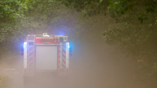 Gro&szlig;br&auml;nde in Sachsen und Brandenburg zum gro&szlig;en Teil unter Kontrolle
