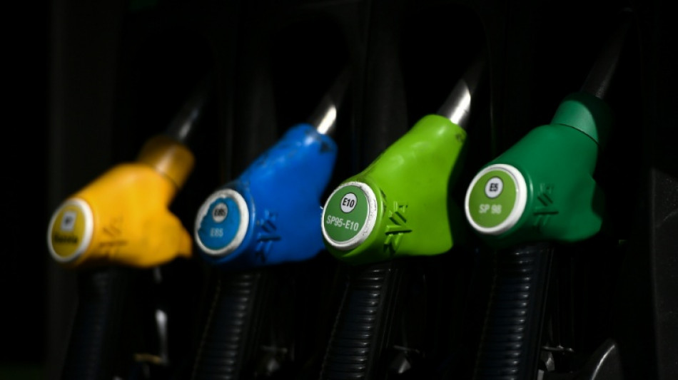 Carburants en France: le gouvernement s'attend &agrave; une "hausse de quelques centimes" et pr&eacute;voit des contr&ocirc;les