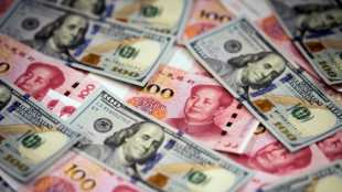 IWF erh&ouml;ht Anteil von chinesischem Yuan und US-Dollar an seinem W&auml;hrungskorb