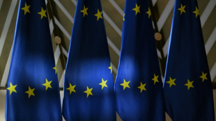 L'UE veut renouveler le statut des r&eacute;fugi&eacute;s ukrainiens, mais le refusera aux hommes en &acirc;ge de combattre