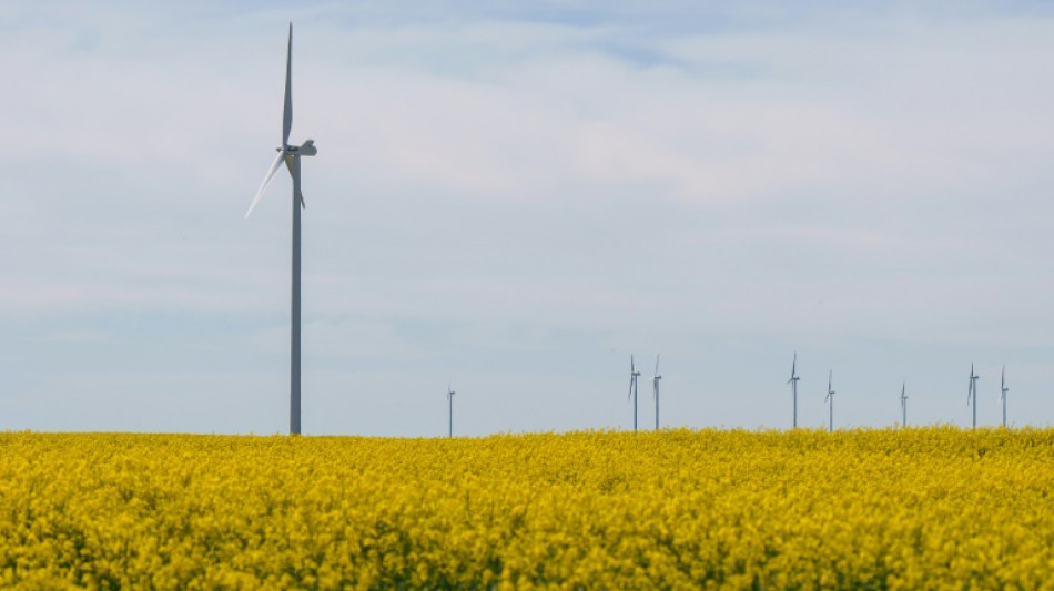 Las energías renovables, en el punto de mira tras el gran apagón en España