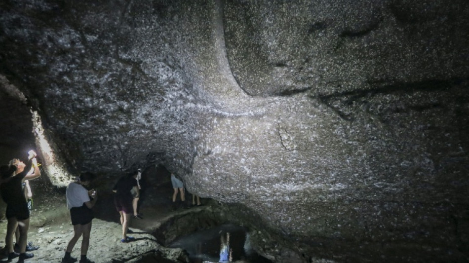 Descubren una telaraña gigante con 111.000 arañas en una gruta de Grecia