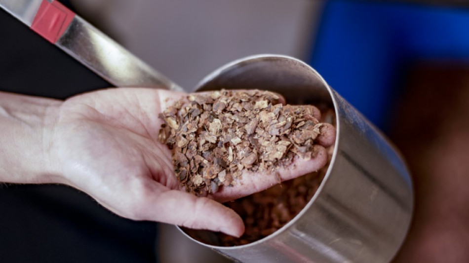 Du charbon &agrave; base de cacao face au r&eacute;chauffement climatique