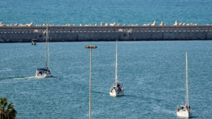 Israël confirme l'expulsion de 137 autres militants de la flottille pour Gaza vers la Turquie