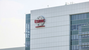 Taiwan chipmaker TSMC to invest another $100bn in Arizona fabs