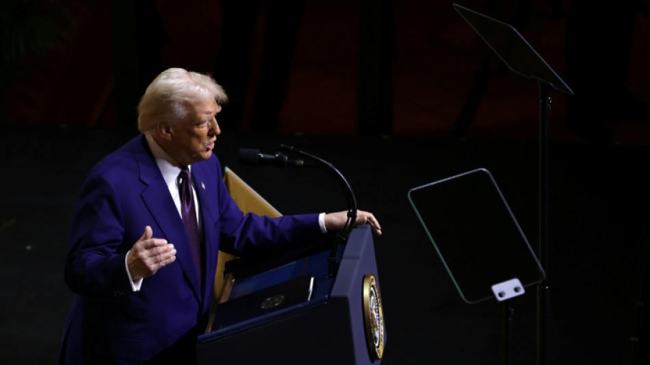 Tech, auto, m&eacute;dicaments: qui payerait les droits de douanes de Donald Trump?