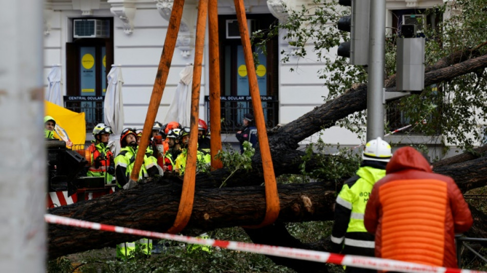 Al menos diez muertos en Europa por la tormenta Ciar&aacute;n
