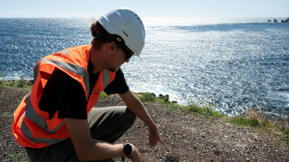 Contaminées par l'industrie pendant deux siècles, des Calanques de Marseille bientôt dépolluées