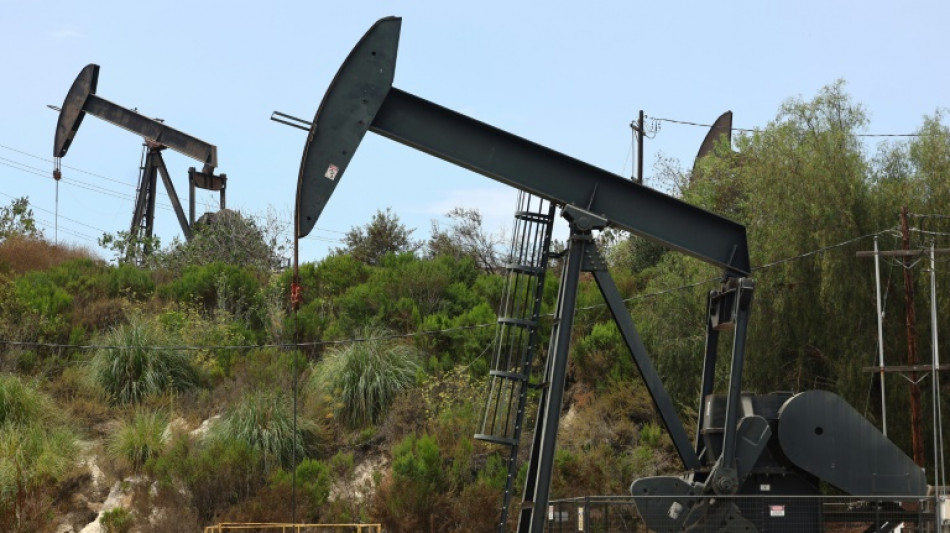 AIE espera 'grande excedente' nos mercados de petr&oacute;leo at&eacute; 2030