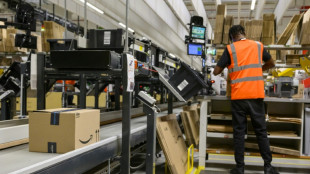 Commerce en ligne: toujours plus d'achats, la mode et l'habillement en tête