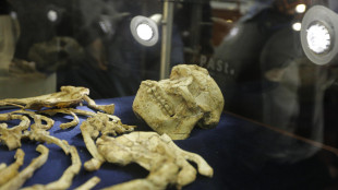 Ricostruito in 3D il volto dell'australopiteco Little Foot