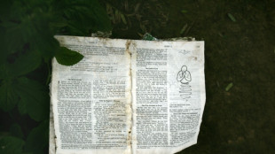 El Vaticano respalda el proceso de beatificaci&oacute;n de 35 'm&aacute;rtires' de India