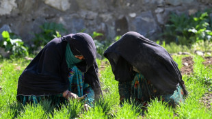 The Afghan women farmers keeping their village alive
