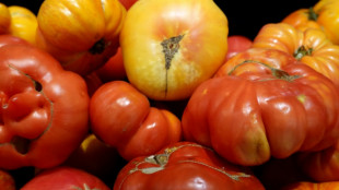 México busca limitar efectos de arancel de EEUU al tomate
