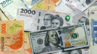 L'Argentine de Milei annonce un prêt de 20 milliards du FMI, libère le contrôle des changes