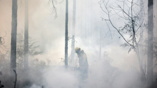Erneut tausend Menschen bei neuem Aufflammen von Feuer in S&uuml;dfrankreich evakuiert