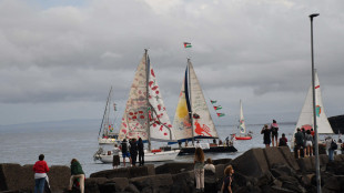 Israele, 'Flotilla una provocazione al servizio di Hamas'