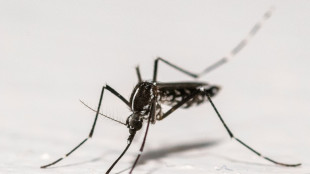 Sri Lanka: une unit&eacute; militaire sp&eacute;ciale pour endiguer une &eacute;pid&eacute;mie de dengue