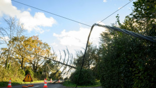 Temp&ecirc;te Caetano: 47.000 foyers encore sans &eacute;lectricit&eacute;