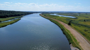 Nach Fischsterben in der Oder: Vollst&auml;ndige Regeneration dauert noch Jahre