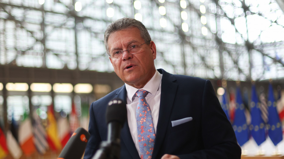 Ue, incontro Sefcovic-Greer sui dazi mercoledì a Parigi