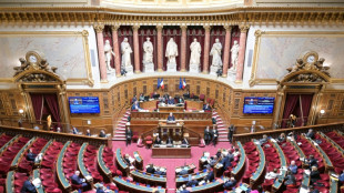 Une commission parlementaire déplore "l'absence de vision" de l'Etat sur le coût des agences