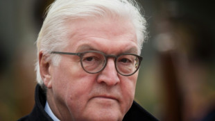 Steinmeier: Deutschland wird Erinnerung an Shoah bewahren