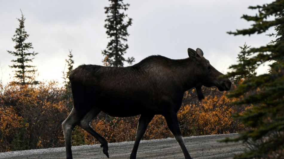 US-Regierung setzt Trump-Pl&auml;ne f&uuml;r &Ouml;l- und Gasf&ouml;rderung in Alaska in Bewegung
