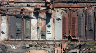 Amérique latine: déjà fragilisée par la Chine, la sidérurgie redoute l'effet des taxes Trump