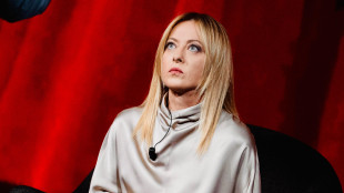 Meloni, fondamentale l'apporto i Bossi al primo centrodestra