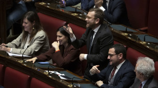 Pd, "Meloni sceglie Trump e dimentica che l'Italia ripudia la guerra"