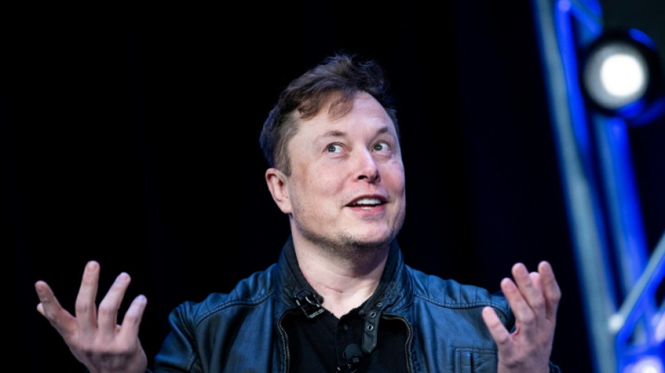 Musk elude l&iacute;mites en Twitter al negarse a integrar directorio, seg&uacute;n expertos
