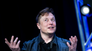 Musk elude l&iacute;mites en Twitter al negarse a integrar directorio, seg&uacute;n expertos