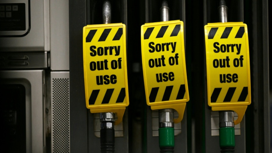 Germany, Japan to unblock oil reserves as G7 stands 'ready' to act