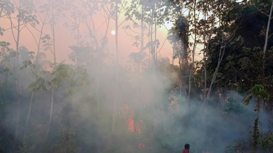 Poblados ind&iacute;genas amaz&oacute;nicos en Bolivia afectados por incendios forestales