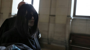 "Un proie id&eacute;ale": Isabelle Adjani se d&eacute;fend en appel d'avoir cherch&eacute; &agrave; frauder le fisc