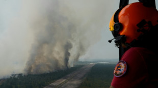 Spanish wildfire evacuees go home as France hit by new heat alert