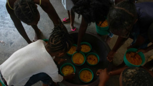Mais de 280 milh&otilde;es de pessoas sofreram inseguran&ccedil;a alimentar aguda em 2023