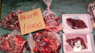 Le Japon &eacute;tend sa chasse &agrave; la baleine au rorqual commun