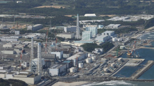 Fukushima: deuxième échantillon de débris radioactifs retiré d'un réacteur accidenté en 2011