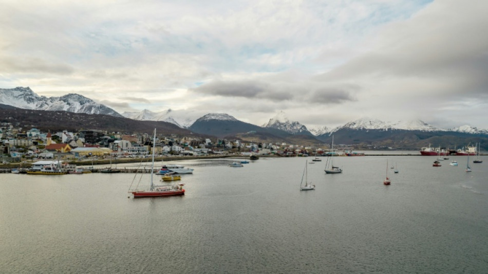 Cient&iacute;ficos argentinos recogen roedores en Ushuaia para descartar el hantavirus