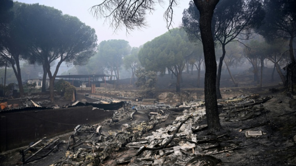Feux en Espagne: les pompiers progressent avant l'arriv&eacute;e d'un vent du sud