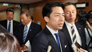 Fotog&eacute;nico ministro japon&eacute;s se postular&aacute; para presidir partido gobernante, seg&uacute;n medios