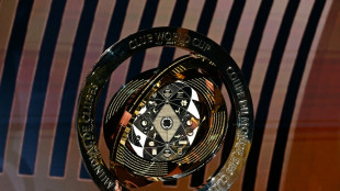 Klub-WM: Sieger erhält 115 Millionen Euro