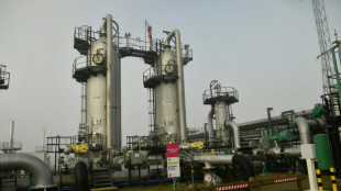 La espa&ntilde;ola Enag&aacute;s alcanza un acuerdo para adquirir m&aacute;s del 30% de la francesa Ter&eacute;ga