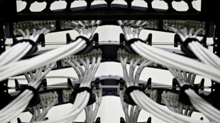 Für die KI: Bitkom fordert bessere Bedingungen für Ausbau von Rechenzentren 