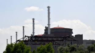 AIEA convoca reuni&atilde;o extraordin&aacute;ria sobre central nuclear ucraniana